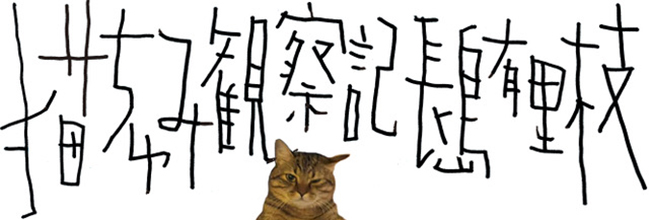 「猫ちゅみ観察記」長島有里枝